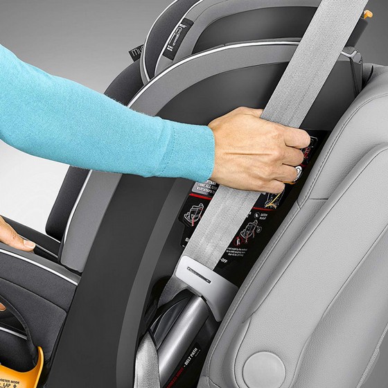 ���� ������ ��� ��� - �MyFit ���� Chicco