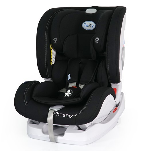 ���� ������ ����� - �Phoenix ������ Twigy