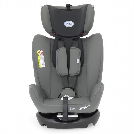 ���� ������ ������-���� - �Stronghold ������ Twigy