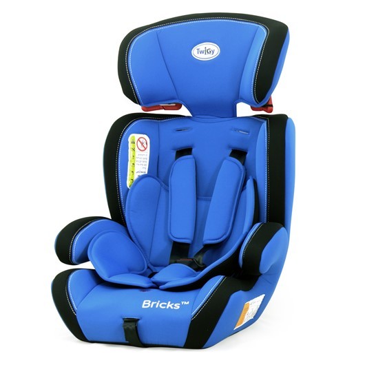 ����� ����� - �Bricks ������ Twigy