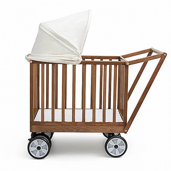 ����� �� BabySafe-CoopyBaby ����� �� ���� XXL, ���� ������ ��� ������
