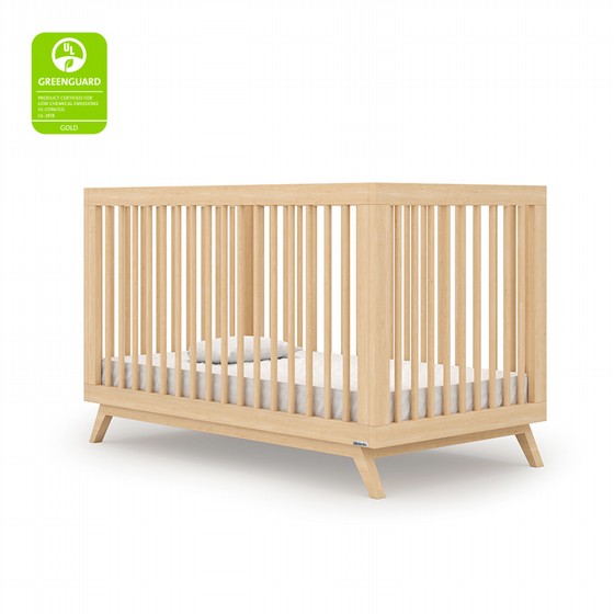 ���� ����� � ��� ���� segal baby