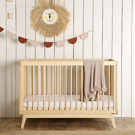���� ����� � ��� ���� segal baby