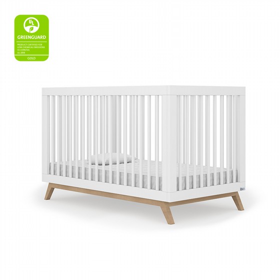 ���� ����� � ��� ���� segal baby