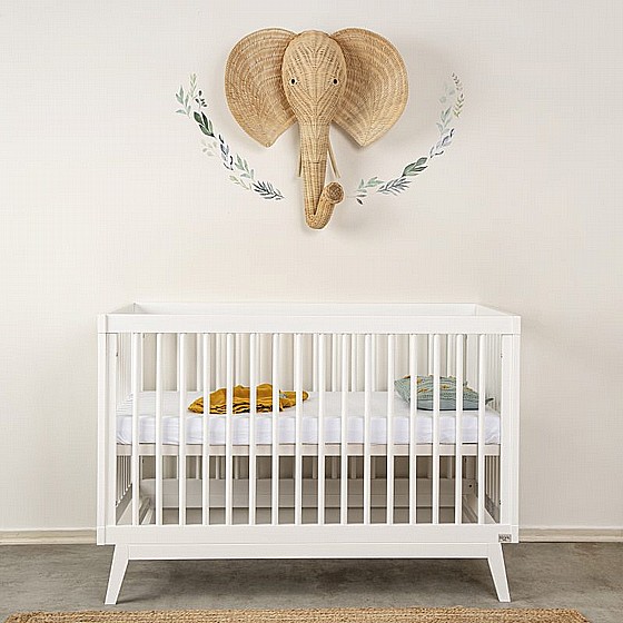 ���� ����� � ��� ���� segal baby