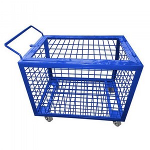 ���� ���� ������ �������