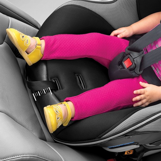 ���� ������ ������� ��� ��� - NextFit Zip Max ���� Chicco