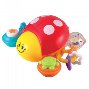 מעודד זחילה חיפושית משה רבנו מעודד זחילה חיפושית משה רבנו