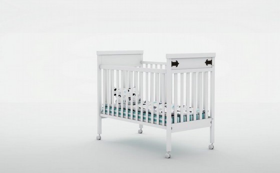 ���� ����� ���� ��