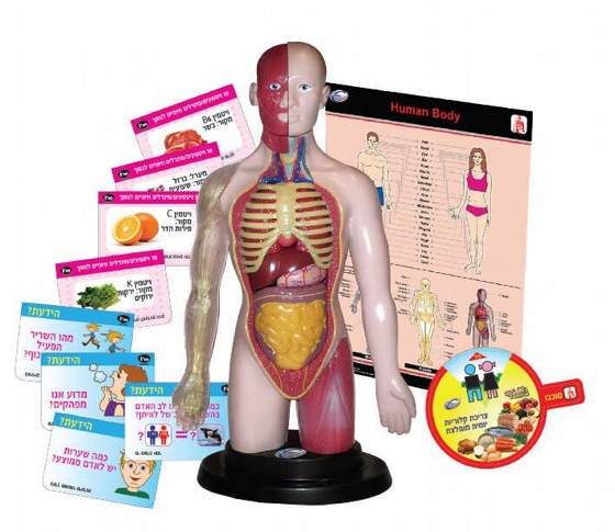 ��� ���� ������ IAM