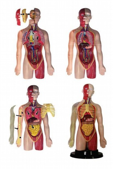 ��� ���� ������ IAM