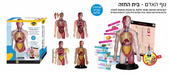 ��� ���� ������ IAM