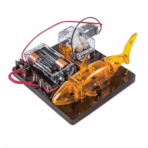 בניית רובוט - דג חשמלי בניית רובוט - דג חשמלי