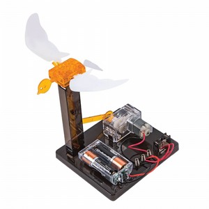 בניית רובוט - ציפור חשמלית בניית רובוט - ציפור חשמלית