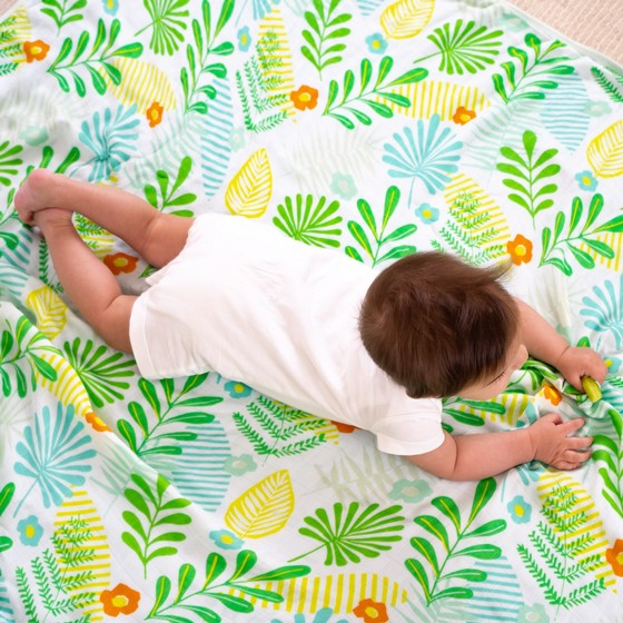 ����� ����� ������ � ��� ��� �����