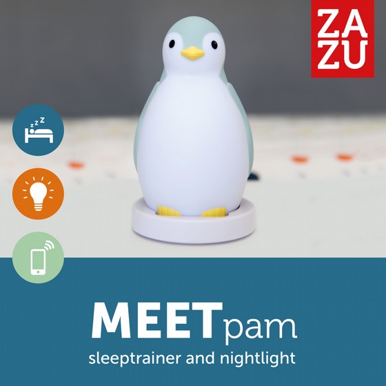 ����� ������ ���� ������ ��� PAM
