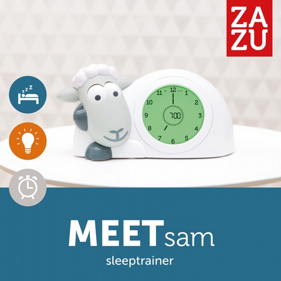 ����� ������ ���� ������ ��� SAM