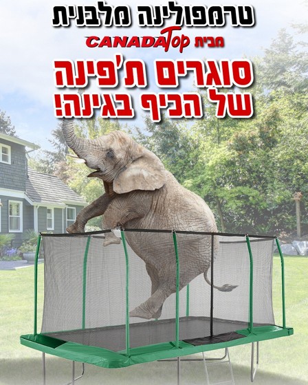 ��������� ������ ���� ������ canada top �� ��� ���� ������ 400X200 �"� ���� ��� - ����� ������