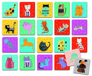 ���� ������+������ ludattica