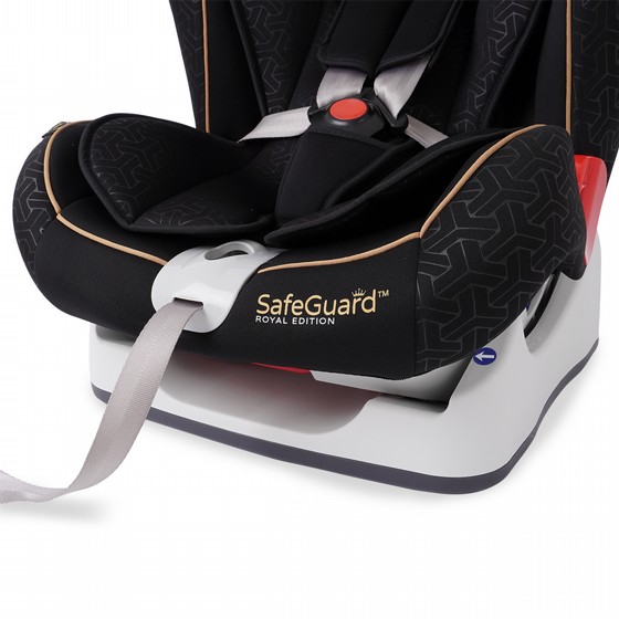 ���� ������ ���� ���� ����� ����� - SafeGuard� Royal Edition ������ Twigy