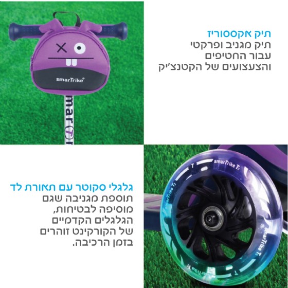 ����� T3 ����