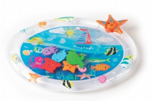 משטח פעילות תחושתי משטח פעילות תחושתי